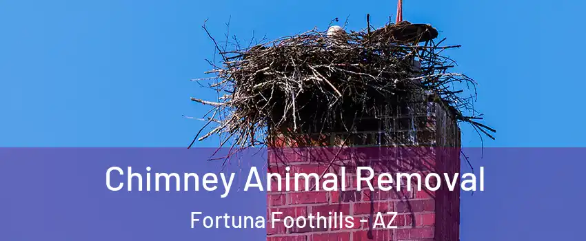  Chimney Animal Removal Fortuna Foothills - AZ