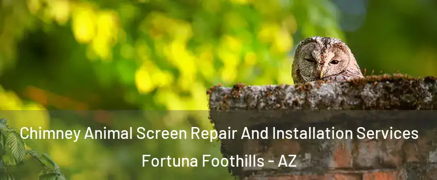  Chimney Animal Screen Repair And Installation Services Fortuna Foothills - AZ
