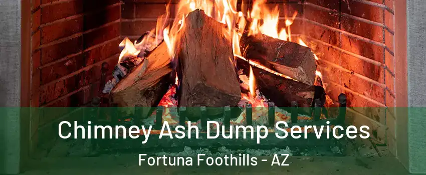  Chimney Ash Dump Services Fortuna Foothills - AZ