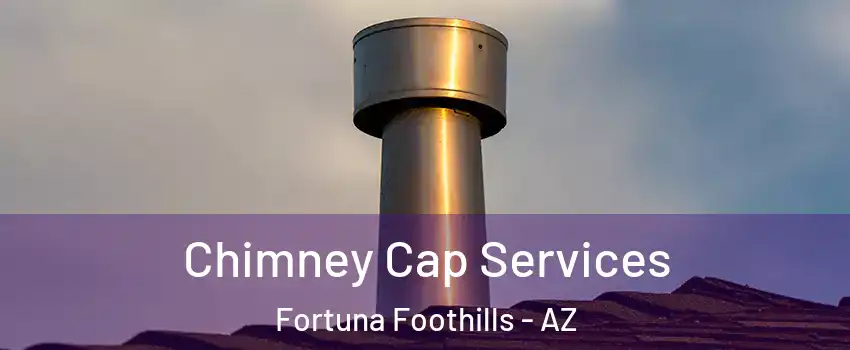  Chimney Cap Services Fortuna Foothills - AZ