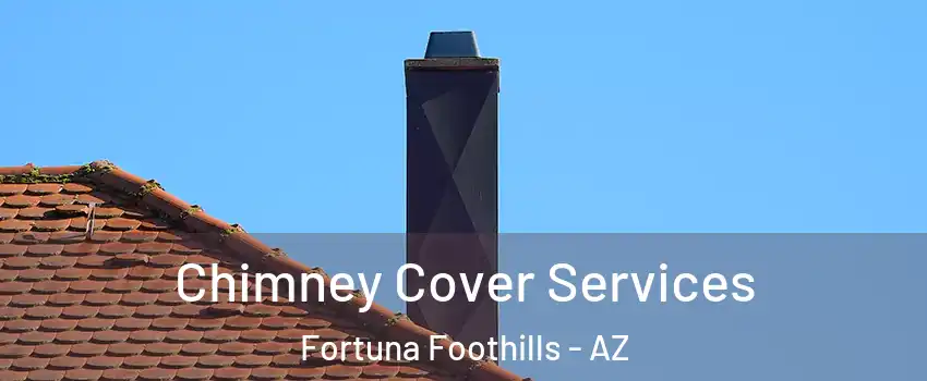  Chimney Cover Services Fortuna Foothills - AZ