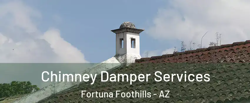  Chimney Damper Services Fortuna Foothills - AZ