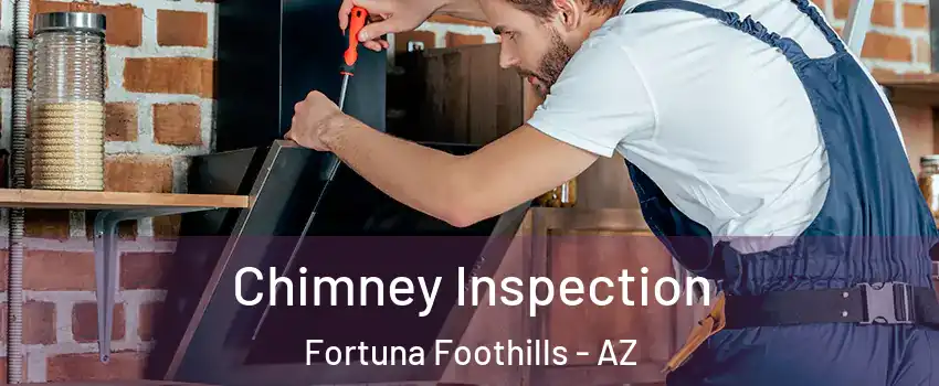  Chimney Inspection Fortuna Foothills - AZ