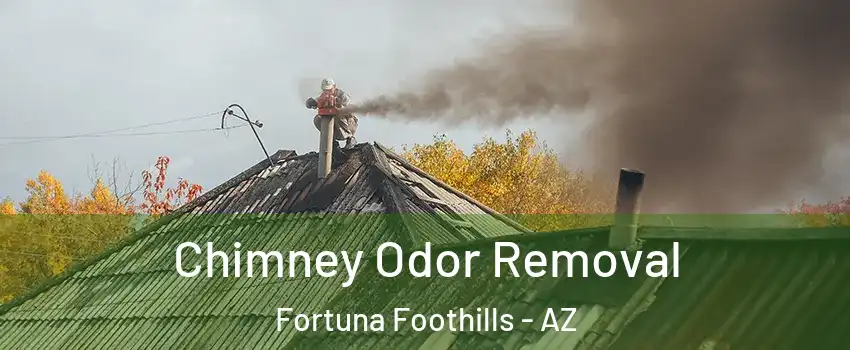  Chimney Odor Removal Fortuna Foothills - AZ