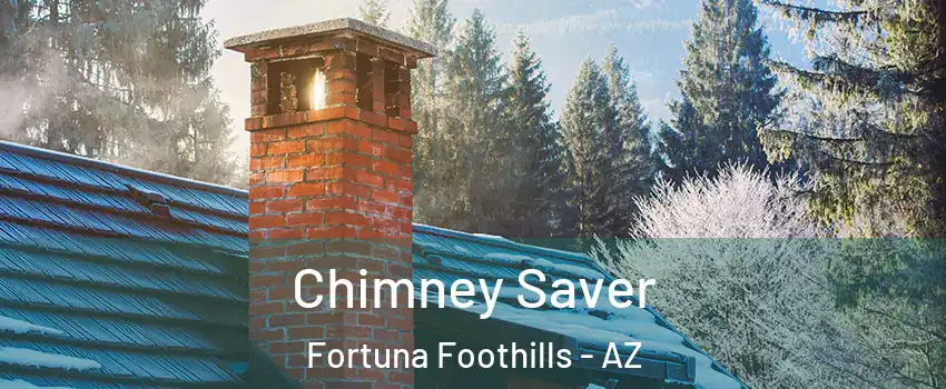  Chimney Saver Fortuna Foothills - AZ