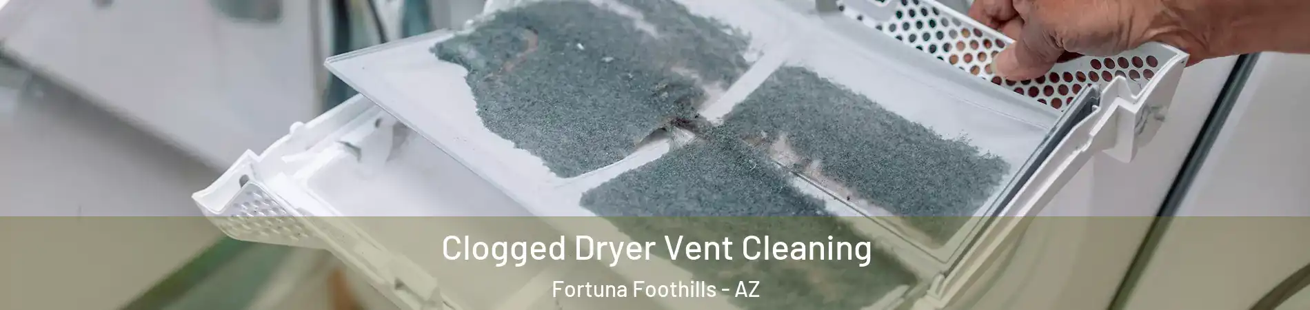  Clogged Dryer Vent Cleaning Fortuna Foothills - AZ