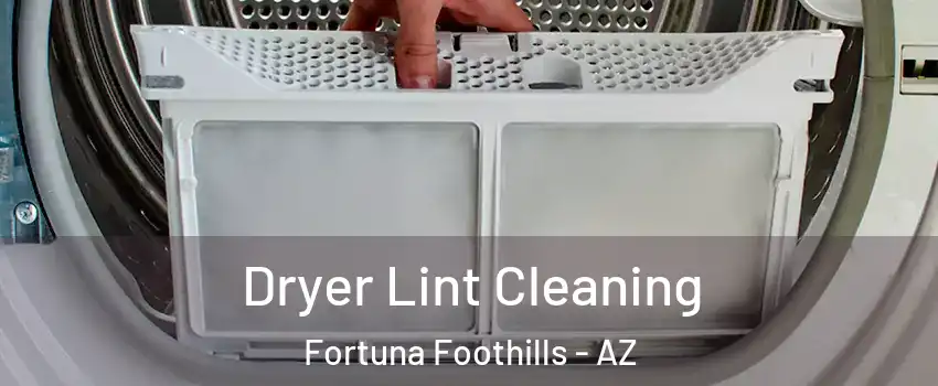  Dryer Lint Cleaning Fortuna Foothills - AZ