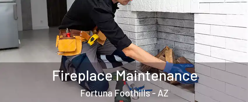  Fireplace Maintenance Fortuna Foothills - AZ