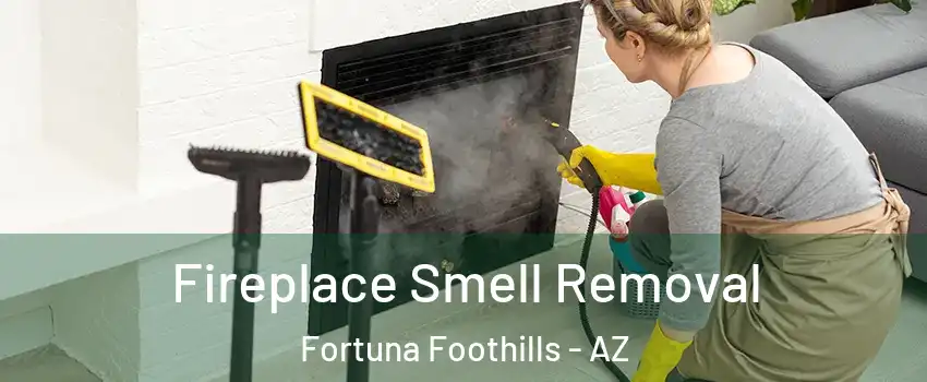  Fireplace Smell Removal Fortuna Foothills - AZ
