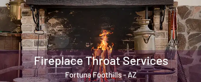  Fireplace Throat Services Fortuna Foothills - AZ