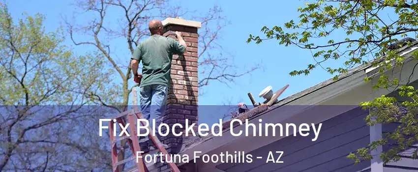  Fix Blocked Chimney Fortuna Foothills - AZ