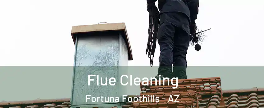  Flue Cleaning Fortuna Foothills - AZ