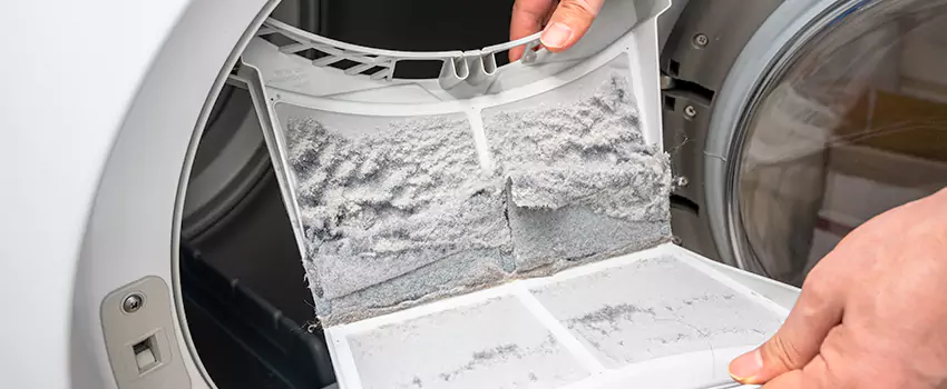 Best Dryer Lint Removal Company in Fortuna Foothills, Arizona