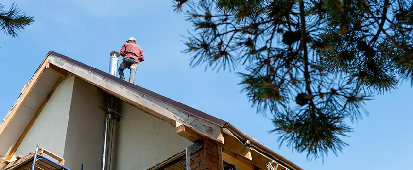 Birds Removal Contractors from Chimney in Fortuna Foothills, AZ