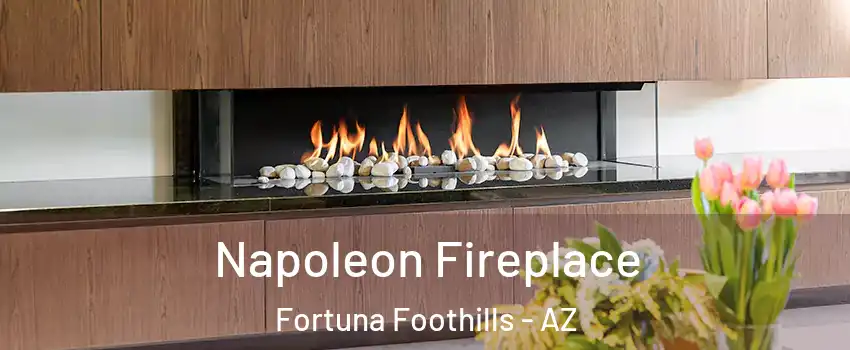  Napoleon Fireplace Fortuna Foothills - AZ