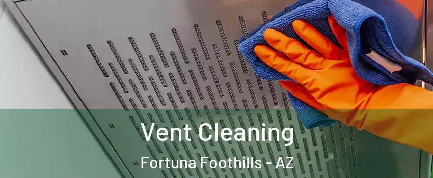  Vent Cleaning Fortuna Foothills - AZ